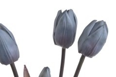 Svazek tulipánů s listy, 5 ks (3 květy + 2 poupata) 46 cm, barva 04