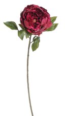 Velká umělá pivoňka na stonku s listy květ Ø16cm/dl.72 cm