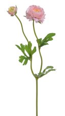 Umělá květina ranunculus 2 výhony, 1 květ,1 poupě s listy , květ 5cm, dl. 38cm
