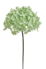 Divoký bez svazek 6 stonků s kvítky, dl. 22 cm, barva 21