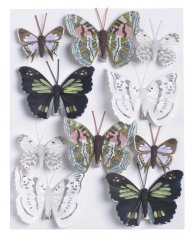 Dekorační motýl z plastu a peří na klipu 5cm, 7,5cm - 10ks