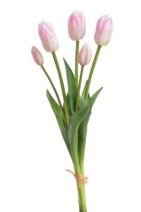 Svazek gumových tulipánů a poupat , hlavička 6,5cm, dl. celkem 46cm