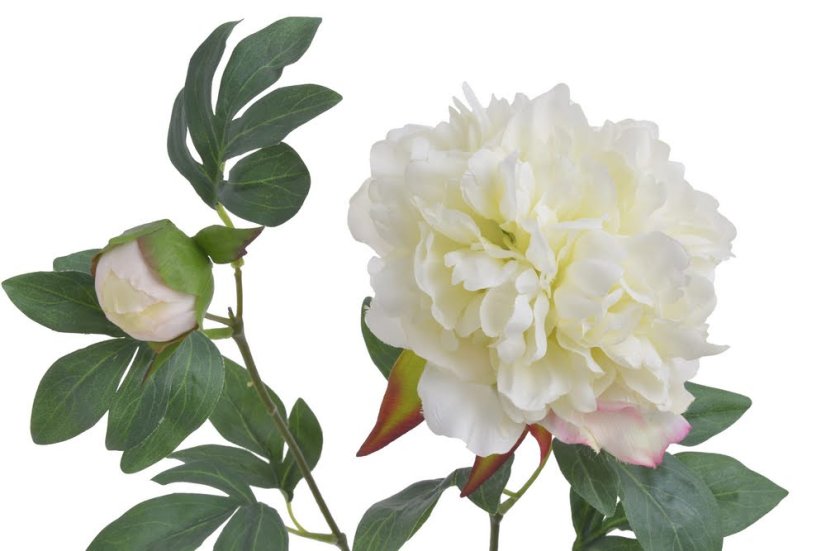 Umělá pivoňka s květem a poupětem, květ Ø13cm/dl.70cm