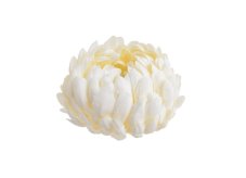 Květ chryzantémy umělý Ø 8 cm – 12 ks
