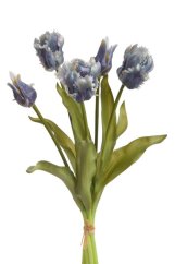 tulipán papouščí guma 3+2 svazek