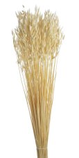Sušený bělený oves svazek 65 cm