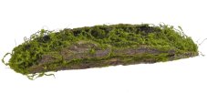 Přírodní kůra s proutím a umělým mechem dl. 66cm