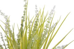 Umělá kvetoucí travina dl. 50cm