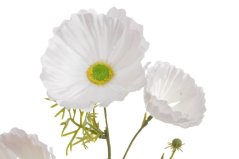 Umělý kvetoucí vlčí mák s listy, květ Ø 8cm, dl. 72cm