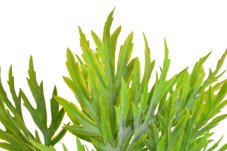 Umělá zelená rostlina 40 cm – dekorativní větvičky