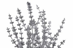 Umělá barvená a glitrovaná levandule dl. 32cm