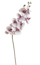 Lata umělých orchidejí, květ Ø10cm/dl.90cm