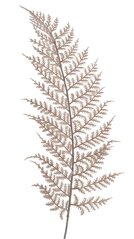 Umělý barvený list kapradí, dl. 57cm_11