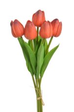 Svazek pěnových tulipánů s listy dl. 32cm - 5ks