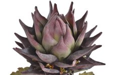Umělá kvetoucí protea  Ø17cm/ dl.74 cm