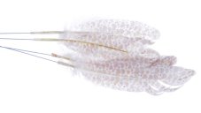 Přírodní barvené peří 8cm/zápich dl.20cm - 4ks