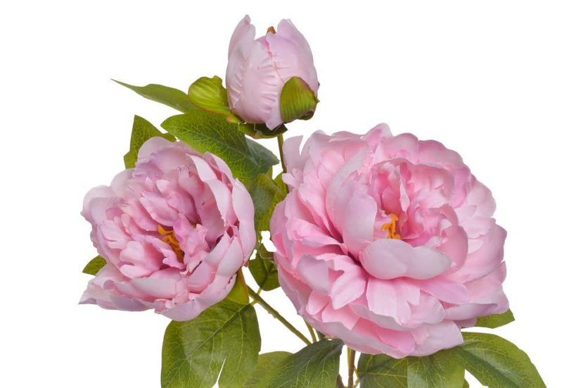 Umělá pivoňka s 2květy a poupětem, květ Ø14 a 10cm, celková dl.55cm