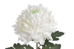 Chryzantéma na stonku s listy, 73 cm