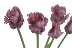 Svazek umělých papouščích tulipánů hlavička 5,5cm, celkem dl. 46 cm - 5ks