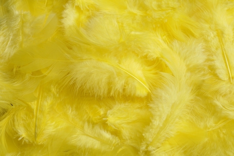 Přírodní barvené peří 7 - 12 cm, YELLOW_019