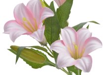 Umělá kvetoucí lilie 3+2,  květ Ø 8cm celkem dl. 53 cm