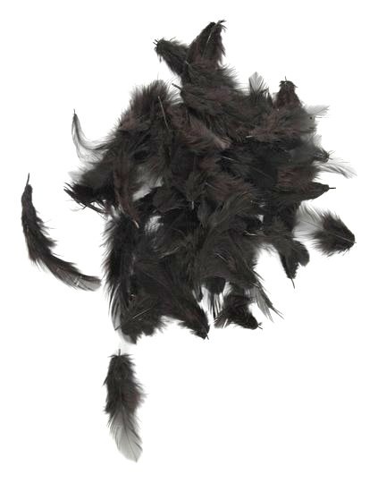 Přírodní barvené peří 7 - 12 cm, BLACK_058