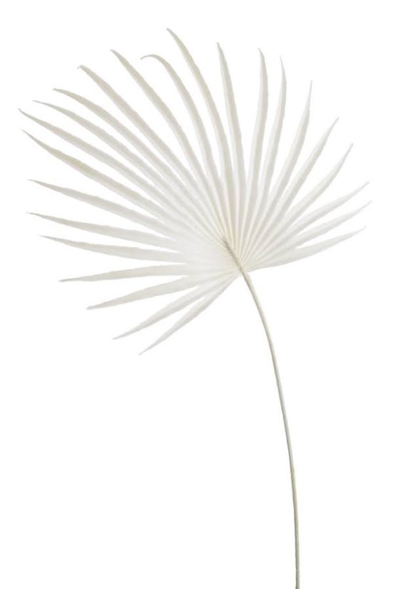 Umělý barvený list palmy vel. 57cm