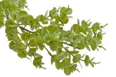 Girlanda z umělých větviček eukalyptu dl.180 cm
