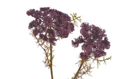 Dekorace umělá kvetoucí větvička kopru dl.75cm