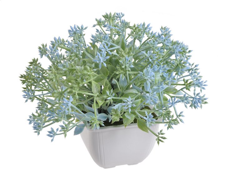 Keřík umělé kvetoucí zeleně v květináči H15cm