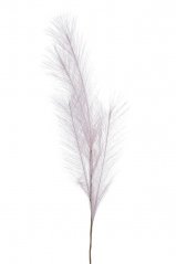 Umělá pampová tráva, 54 cm, barva 01