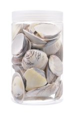 Dekorace přírodní mušle 5 - 7cm, cca. 850g
