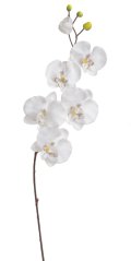 Umělá květina lata orchideje phaleanopsis dl. 70cm