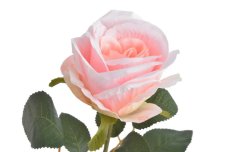 Umělá rozkvetlá růže, hlavička Ø 8cm/celkem dl. 58cm