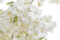 Umělá sakura stromek v květináči 235cm
