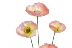 Máky 4 květy, 59 cm - růžovožluté 02