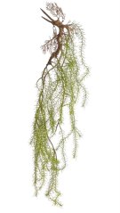 Dekorace umělá rostlina asparágus dl. 95cm - převis