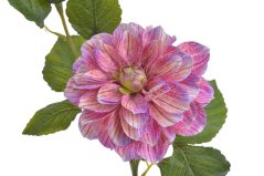 Umělá květina kvetoucí dahlie, květ Ø 15cm, dl.68cm