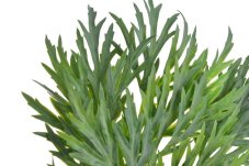Umělá zelená rostlina 40 cm – dekorativní zeleň