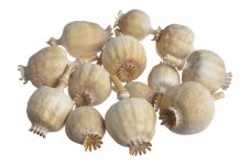 Makové hlavičky sušené 1,5–4 cm – 200 g