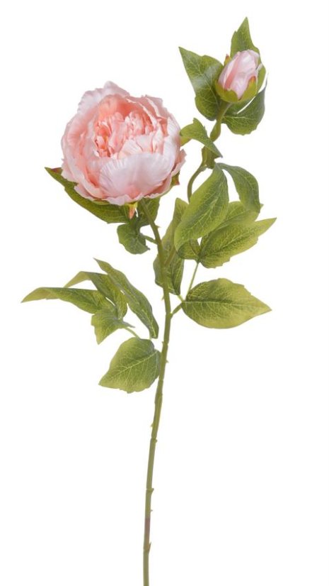Umělá pivoňka s květem a poupětem, květ Ø10cm, celková dl.67cm