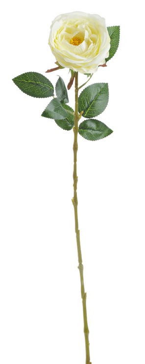 Umělá růže Austin, hlavička Ø 10cm/dl. 68cm - cream
