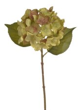Květ hortenzie na stonku s listy - květ Ø 14 cm, dl. 36 cm