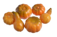 Podzimní dekorace umělé dýně Ø 5cm, 5,5cm, 7cm /- 6ks
