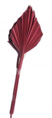 Přírodní barvený materiál palm spear dl. 45cm - 5 ks