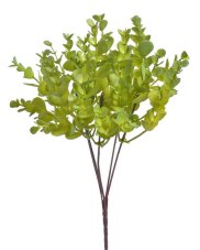 Eukalyptus 5 větviček, 34 cm, barva - 01