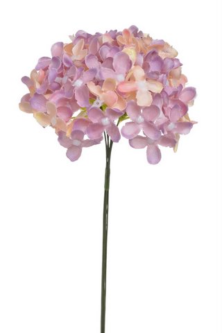 Divoký bez svazek 6 stonků s kvítky, dl. 22 cm, barva 05