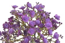 Svazek 5 větviček umělé gypsophily dl. 30cm