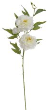 Umělá pivoňka s 2květy a poupětem, květ Ø12cm/ celková dl.89cm