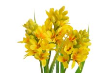 Jarní umělá květina Hyacint s listy dl. 31cm